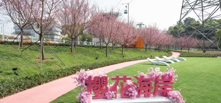 機場悠閑賞花好去處 機場悠閑賞花好去處